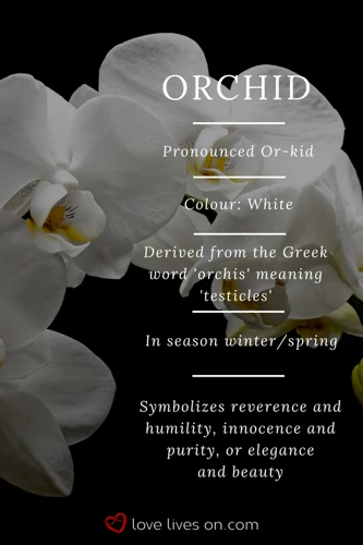 Co Znamená Sen O Orchideji?